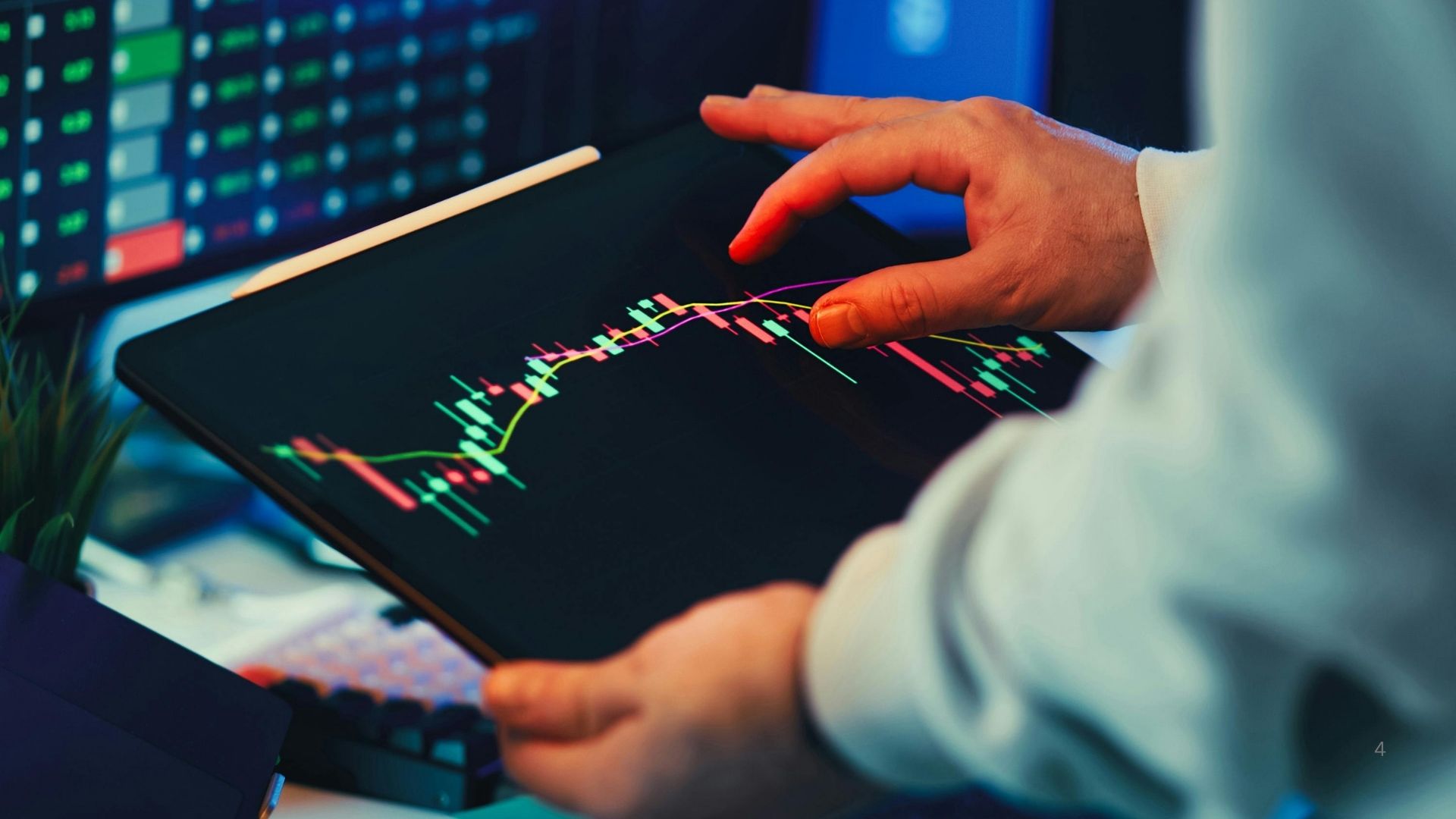 AI Bull Market